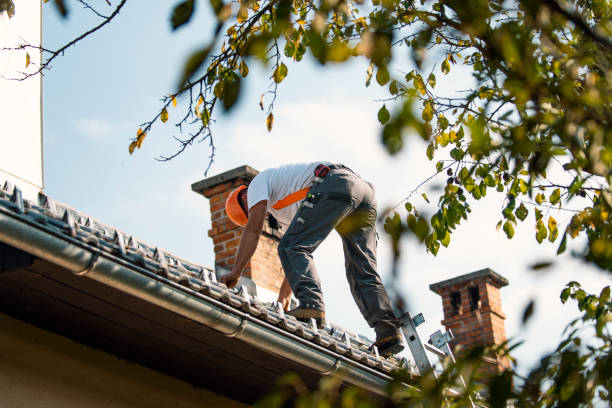 Best Roof Gutter Cleaning  in Oliver Springs, TN