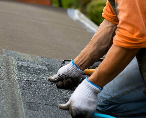Best Roof Repair Specialists  in Oliver Springs, TN